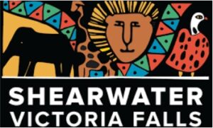 shearwaters